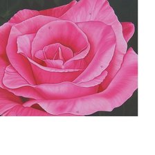 Схема вышивки «№1611542»