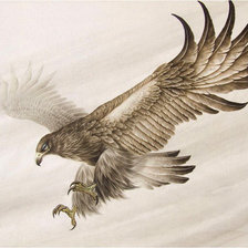 Схема вышивки «Орел»