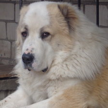 Схема вышивки «мой Мишка»