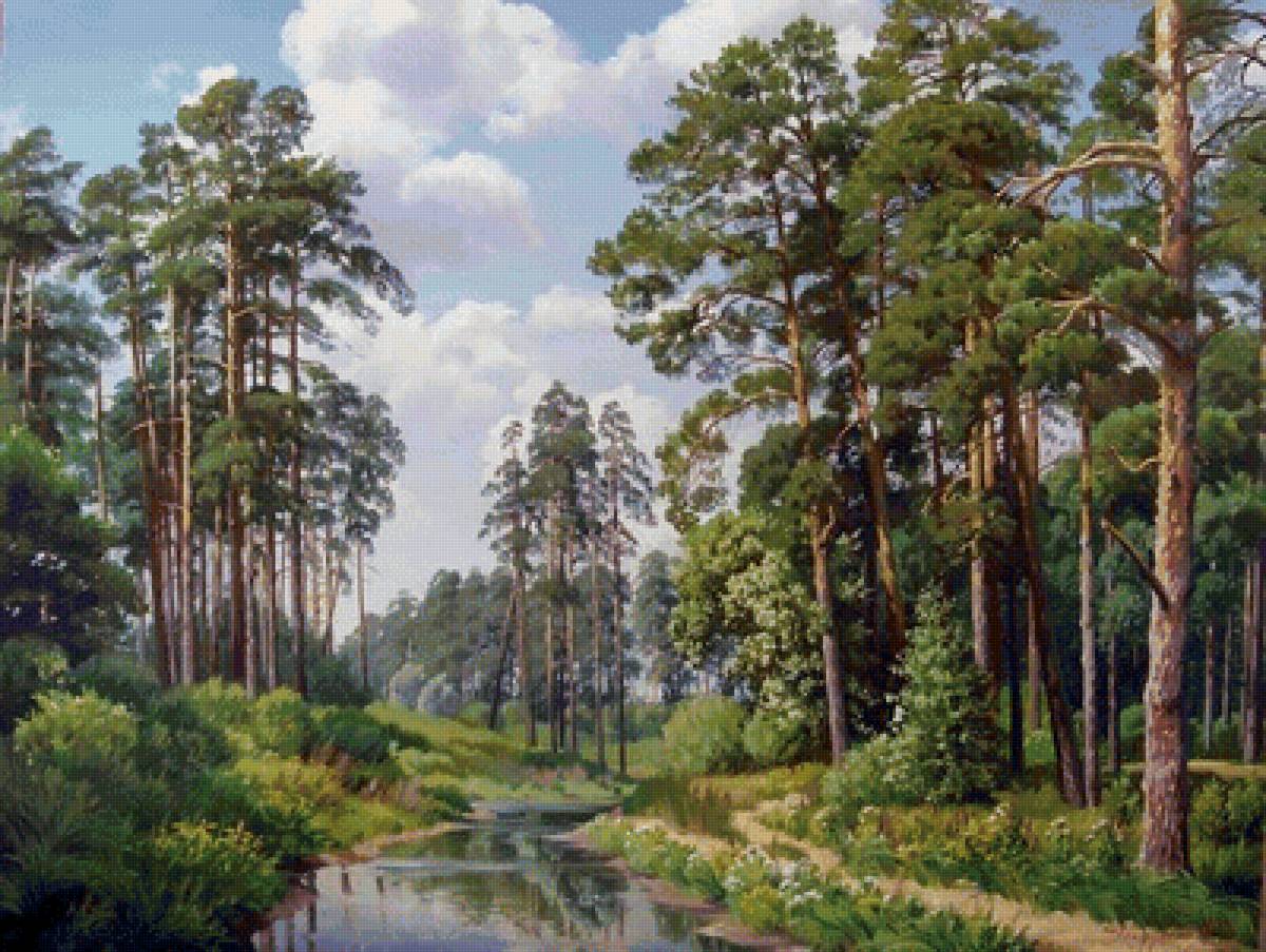 Сосновый бор - деревья, лес, берег, река - предпросмотр