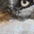 Предпросмотр схемы вышивки «Волк» (№1611736)
