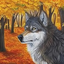 Схема вышивки «Волк»