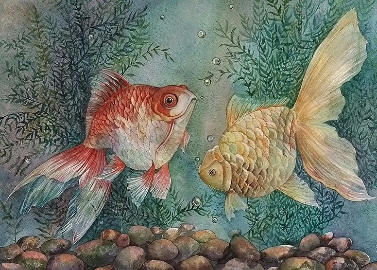 Рыбки - животные - оригинал