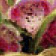 Предпросмотр схемы вышивки «Розовые маки» (№1611889)