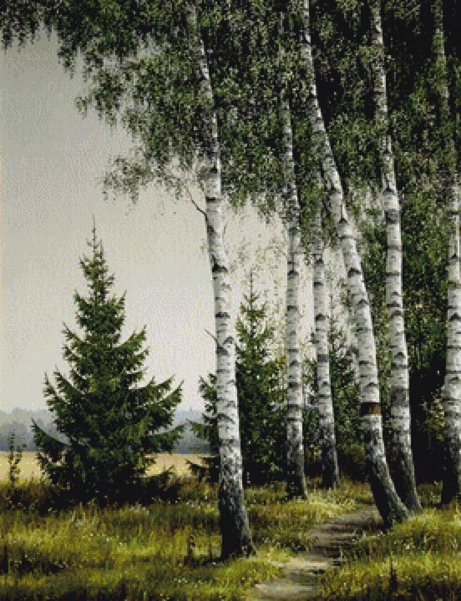 лесная тропинка - предпросмотр