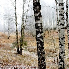 Схема вышивки «№1612223»