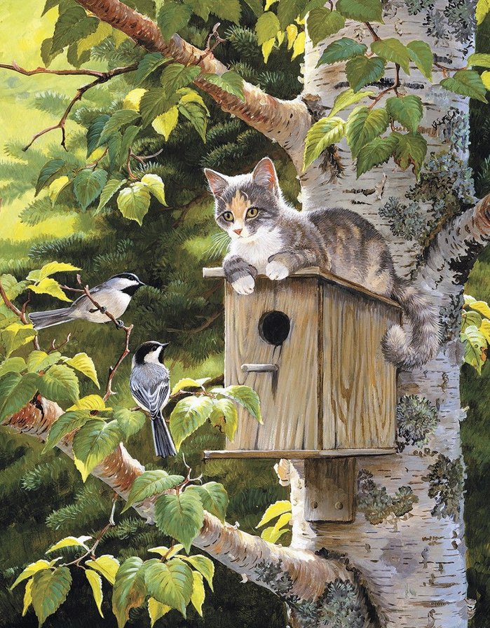 Кот и птицы - животные - оригинал
