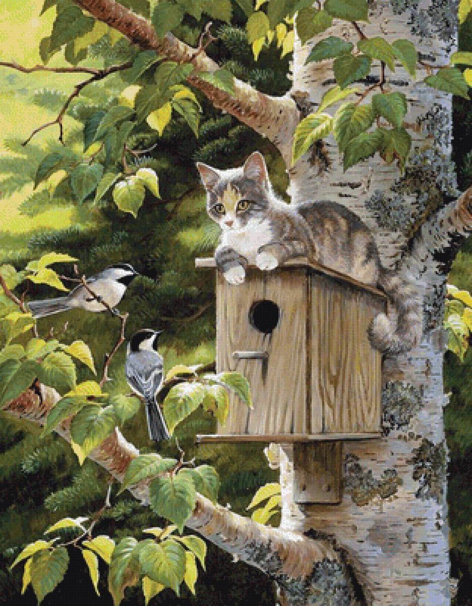 Кот и птицы - животные - предпросмотр