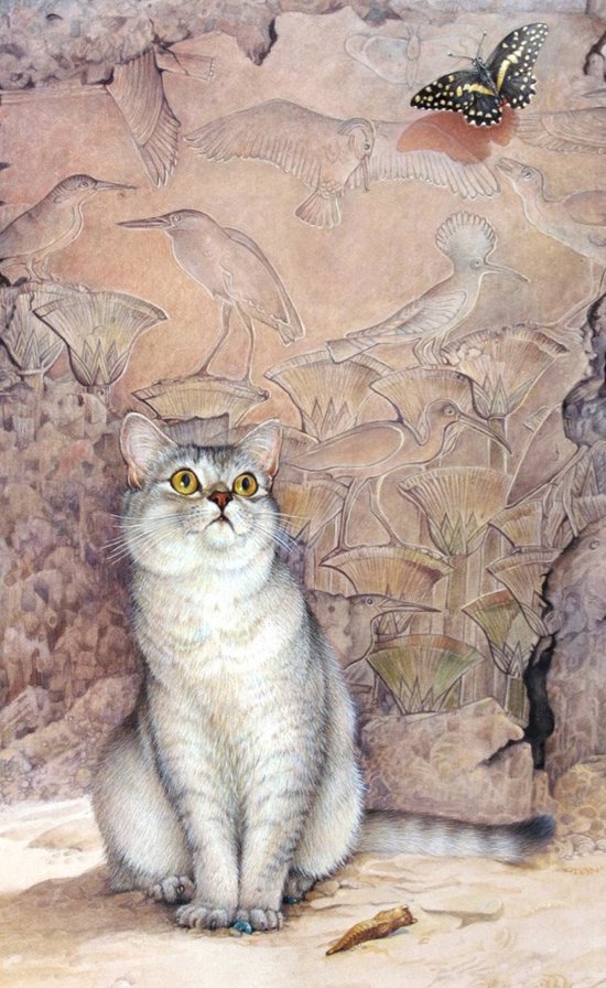 №1612258 - камень, кот, бабочка - оригинал