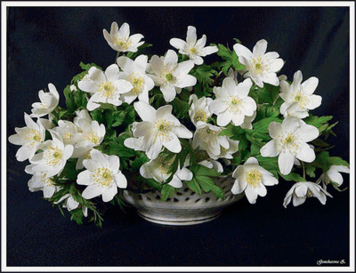 №1612266 - предпросмотр