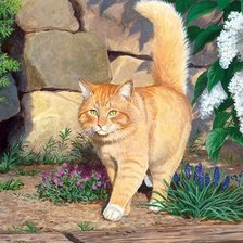 Схема вышивки «Кот»