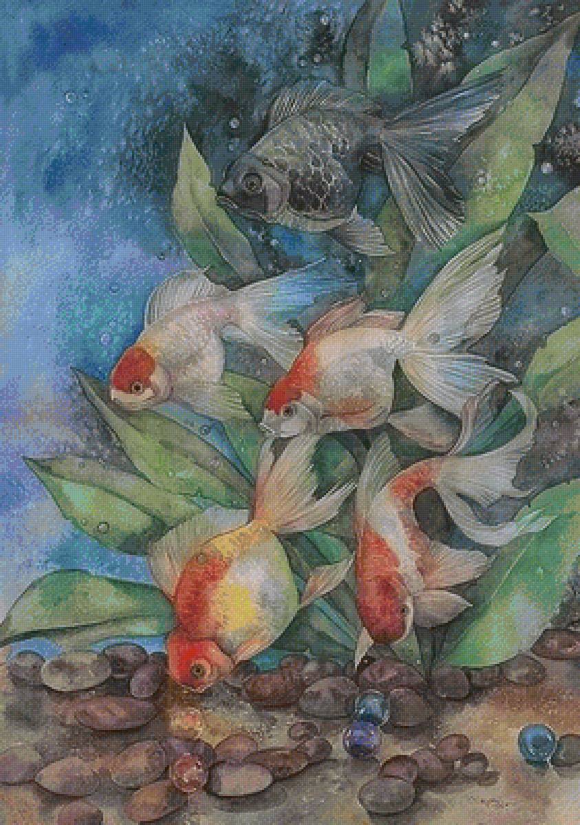 Рыбки - животные - предпросмотр