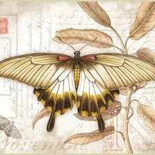 Оригинал схемы вышивки «бабочки 2» (№1612488)