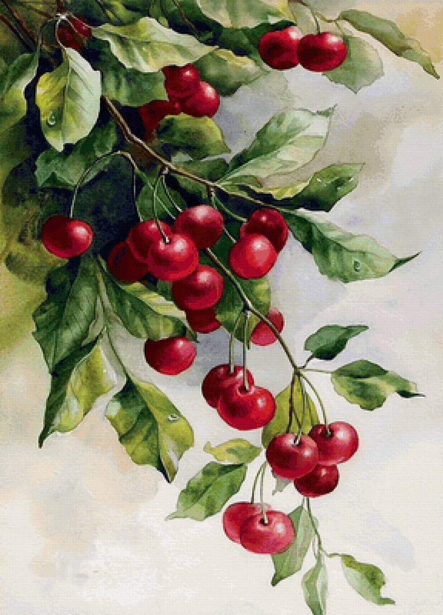 №1612547 - предпросмотр