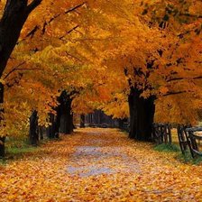 Схема вышивки «осень»