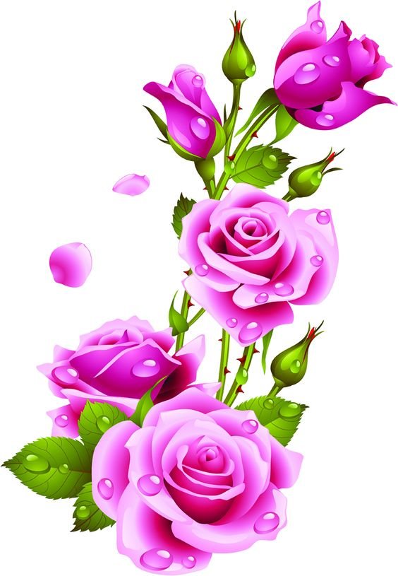 розовые розы - оригинал