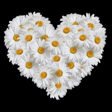 Схема вышивки «сердечные ромашки»