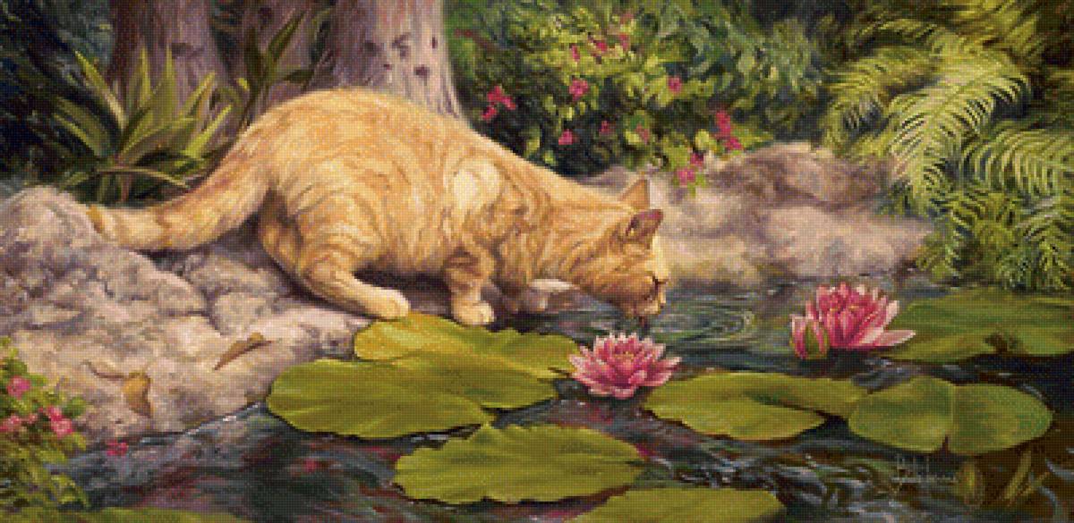 Рыженький котик - природа, животные, папоротник, водоем, лилии - предпросмотр