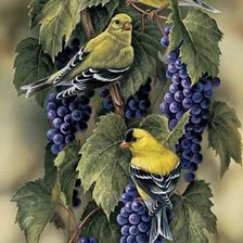 Оригинал схемы вышивки «Птицы и виноград» (№1612807)