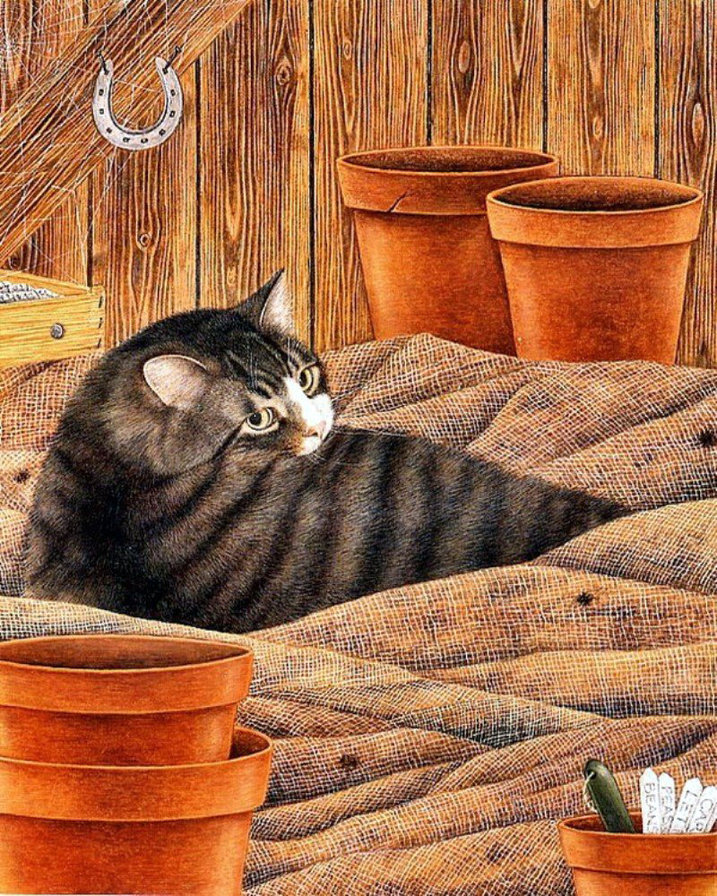 Котик - кошки, животные - оригинал