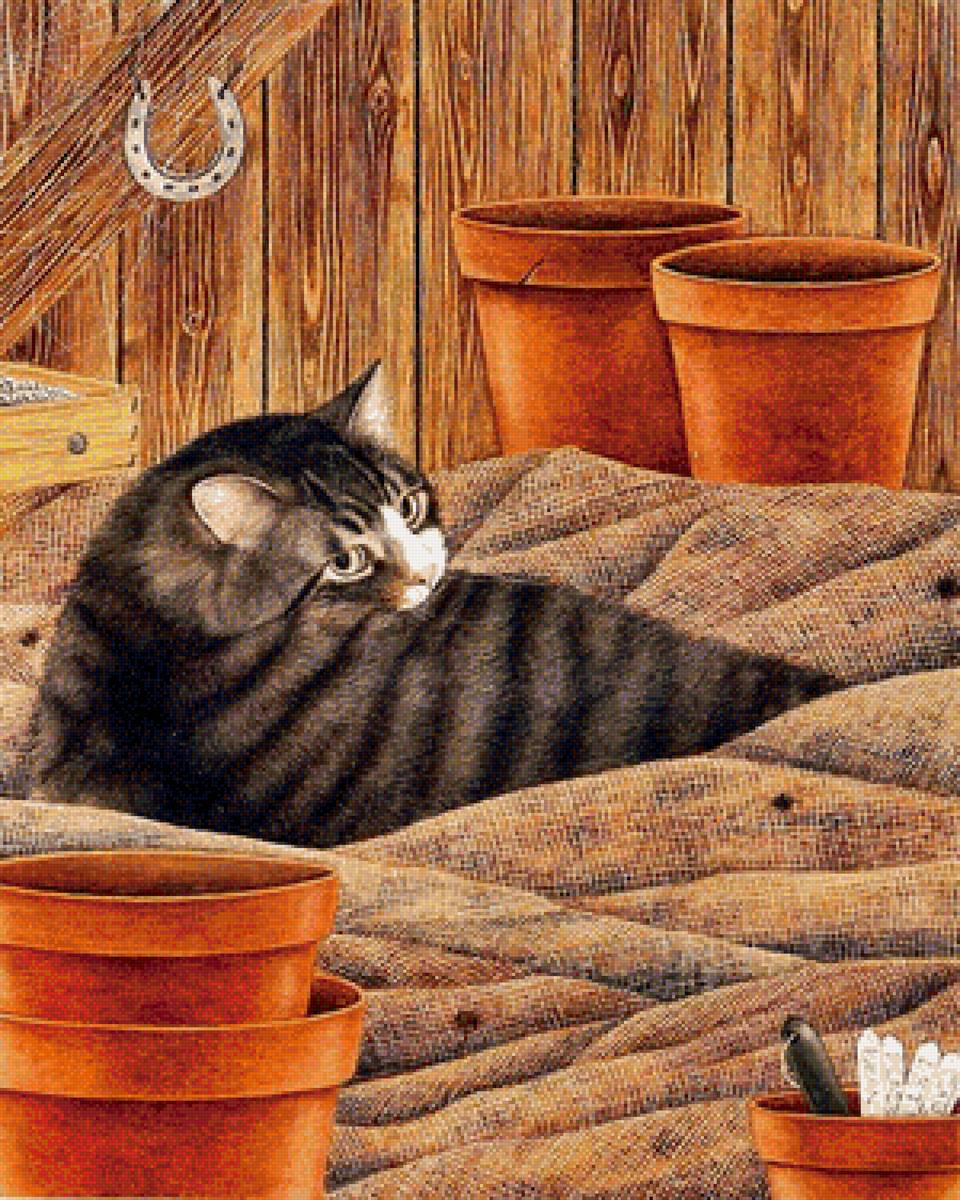 Котик - животные, кошки - предпросмотр