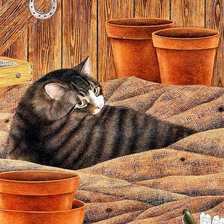 Схема вышивки «Котик»