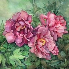 Схема вышивки «№1612995»