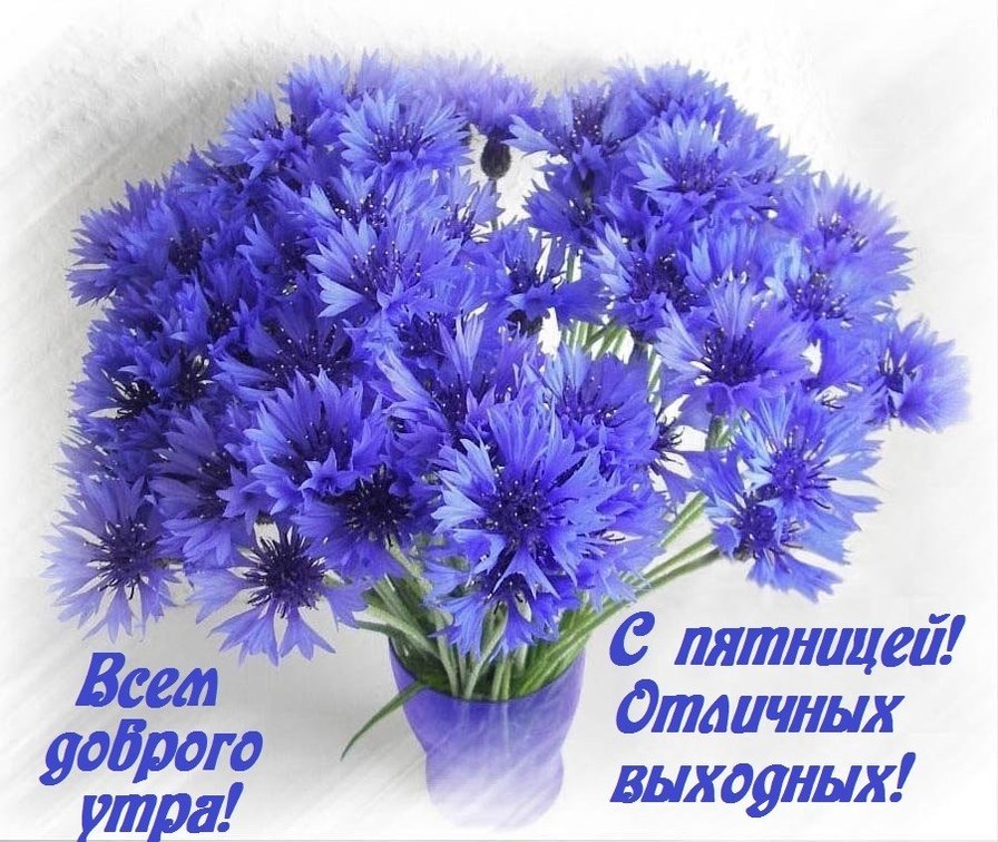 васильки поздравительная открытка - оригинал