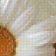 Предпросмотр схемы вышивки «натюрморт ромашки» (№1613443)