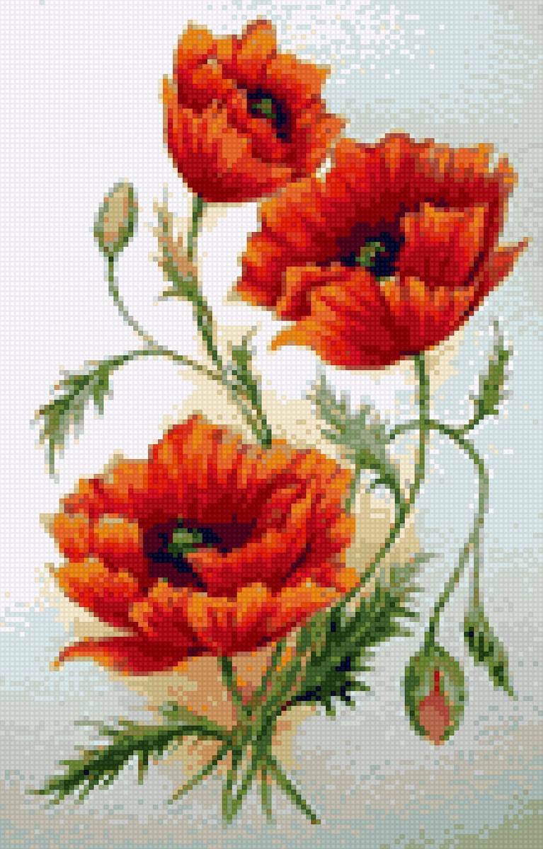 Маки - предпросмотр