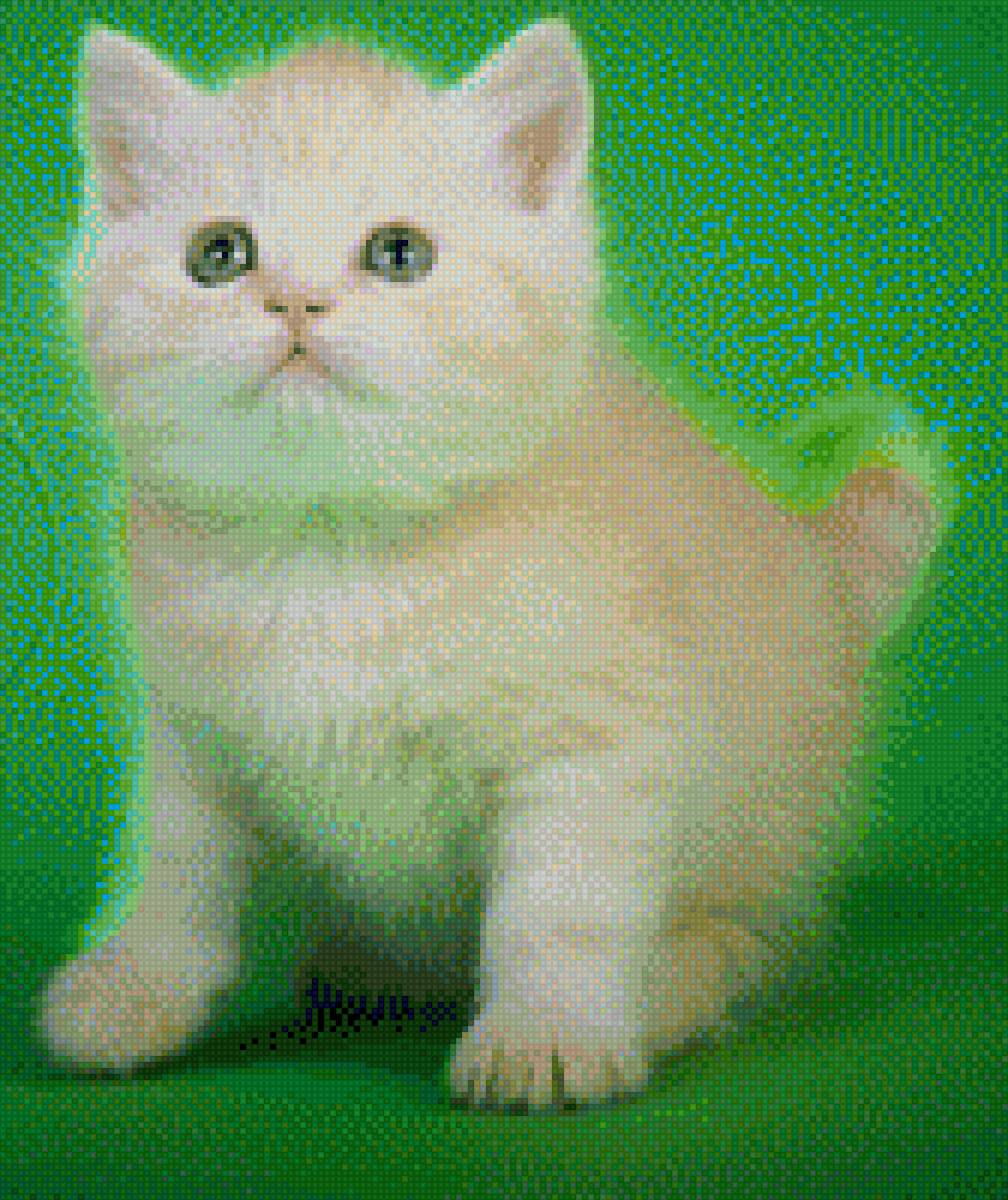 Мурзик в розах - предпросмотр