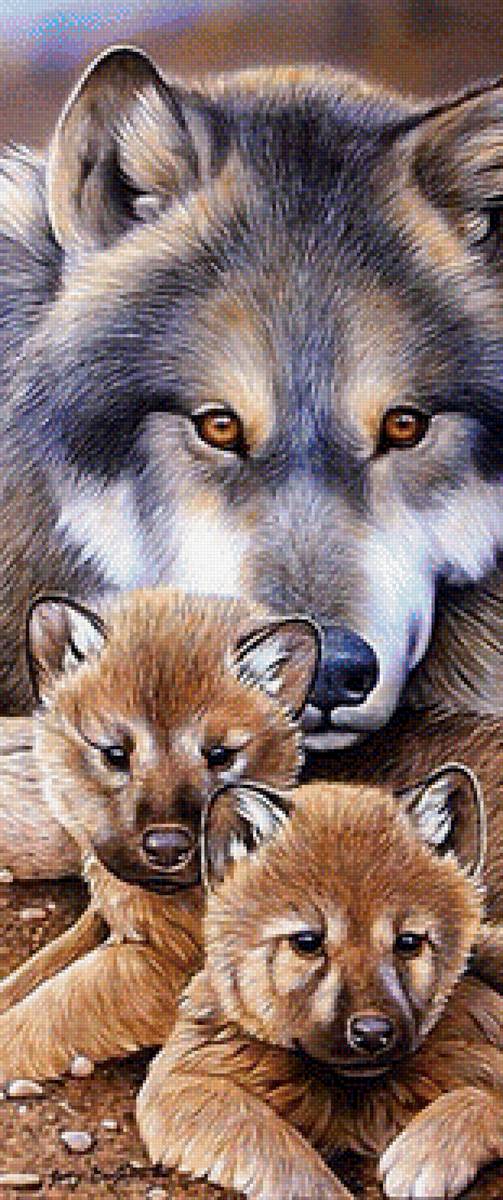 Волчица мама, х-к Колин Богл - животные, волки - предпросмотр