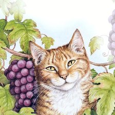 Схема вышивки «Кот»