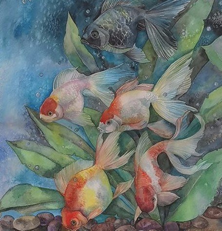 Рыбки - животные - оригинал