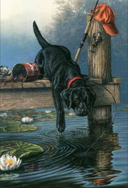 Пес и кепка - оригинал