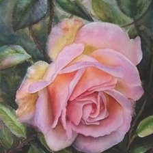 Схема вышивки «№1614397»