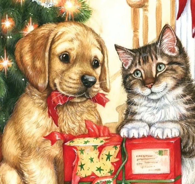 Кот и пёс - животные - оригинал