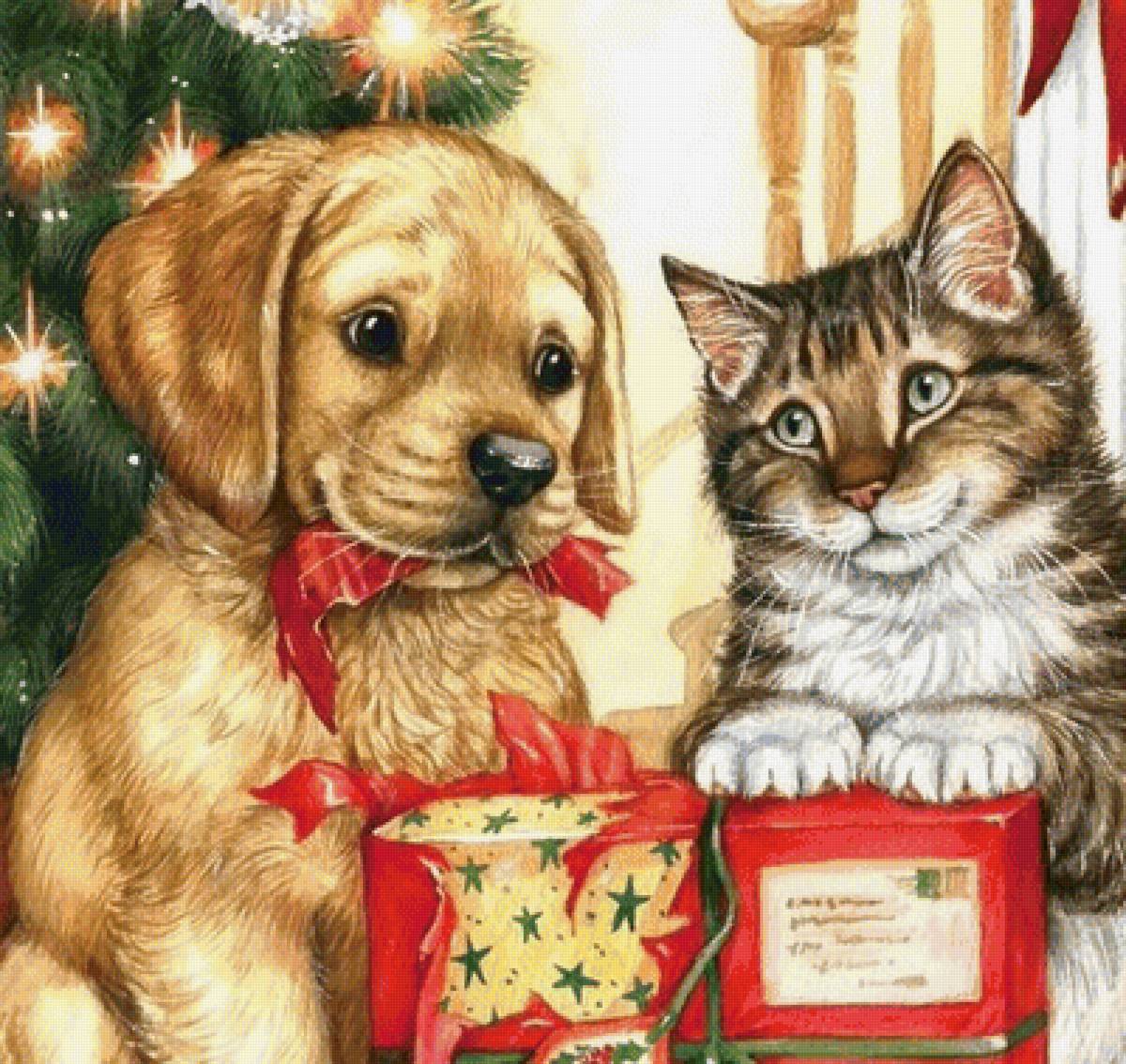 Кот и пёс - животные - предпросмотр