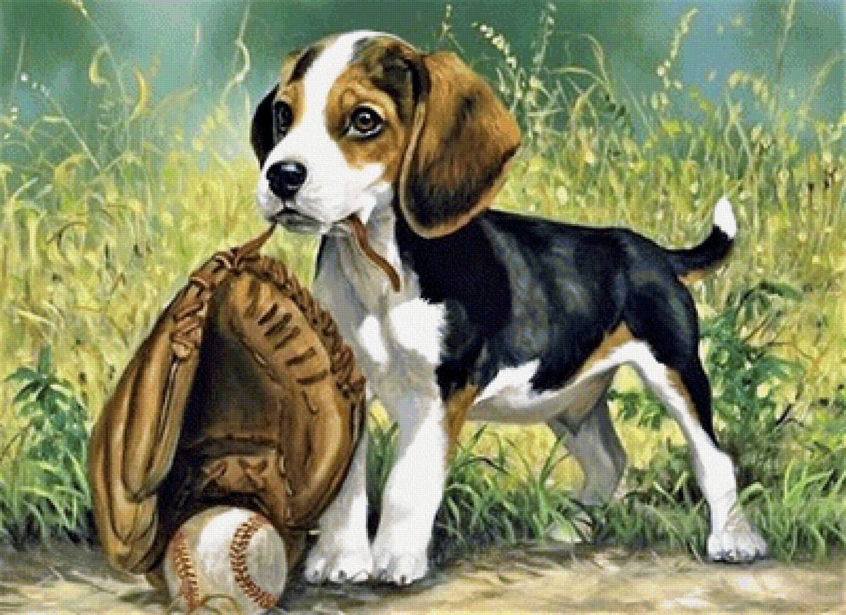 Малыш - природа, собаки, картина - предпросмотр