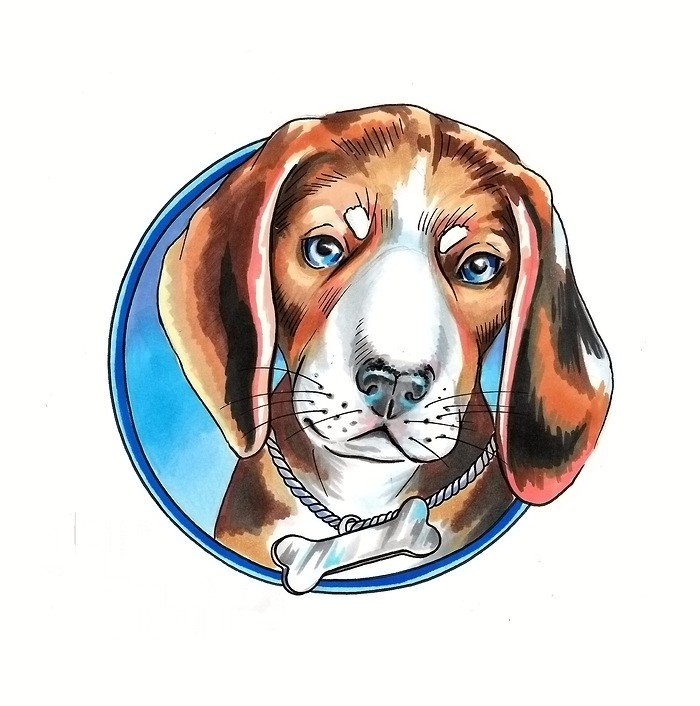 Собака - животные - оригинал