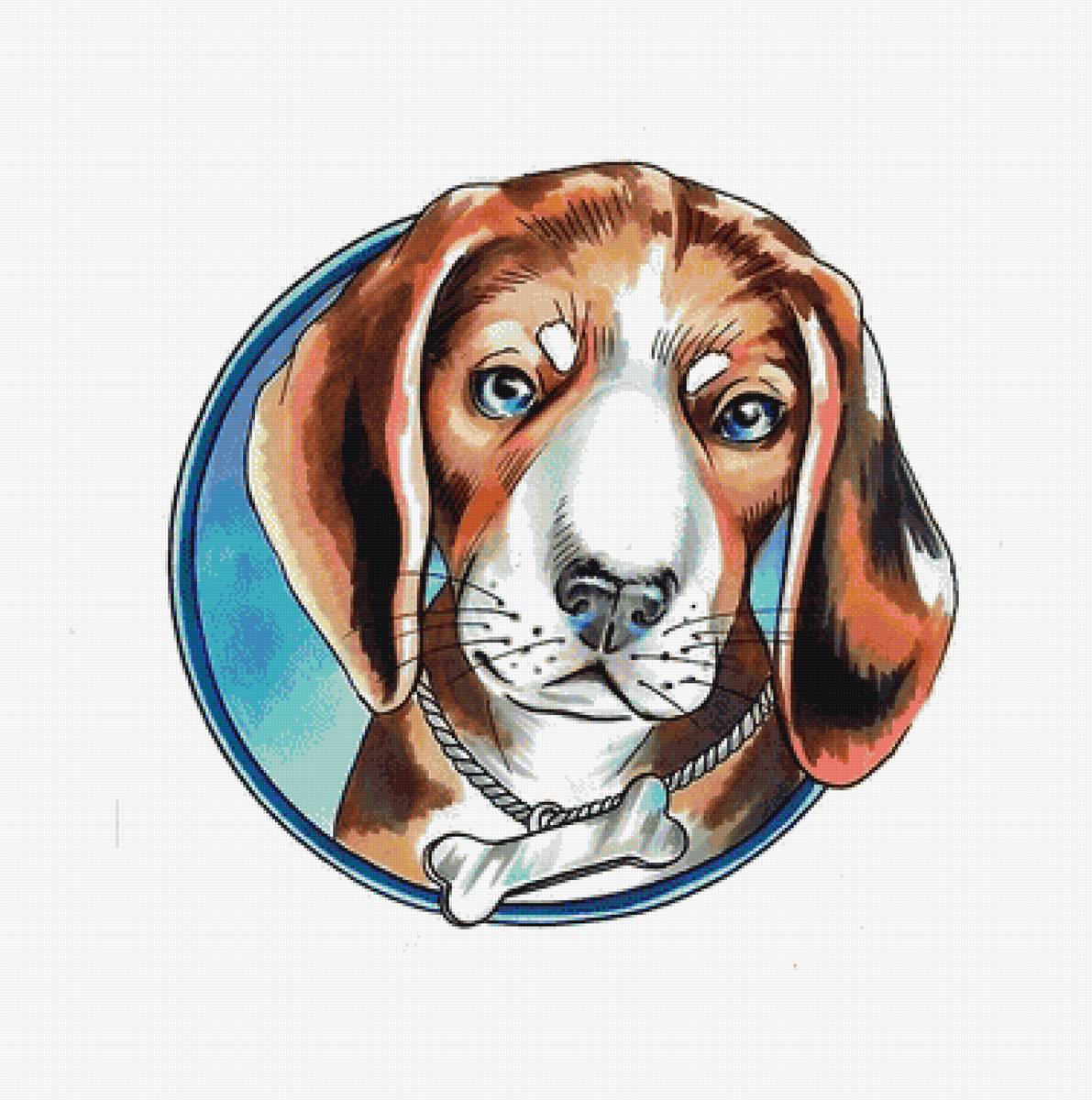 Собака - животные - предпросмотр