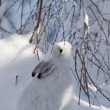 Схема вышивки «ЗИМНИЙ ПЕЙЗАЖ»