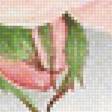 Предпросмотр схемы вышивки «Розочка» (№1615340)