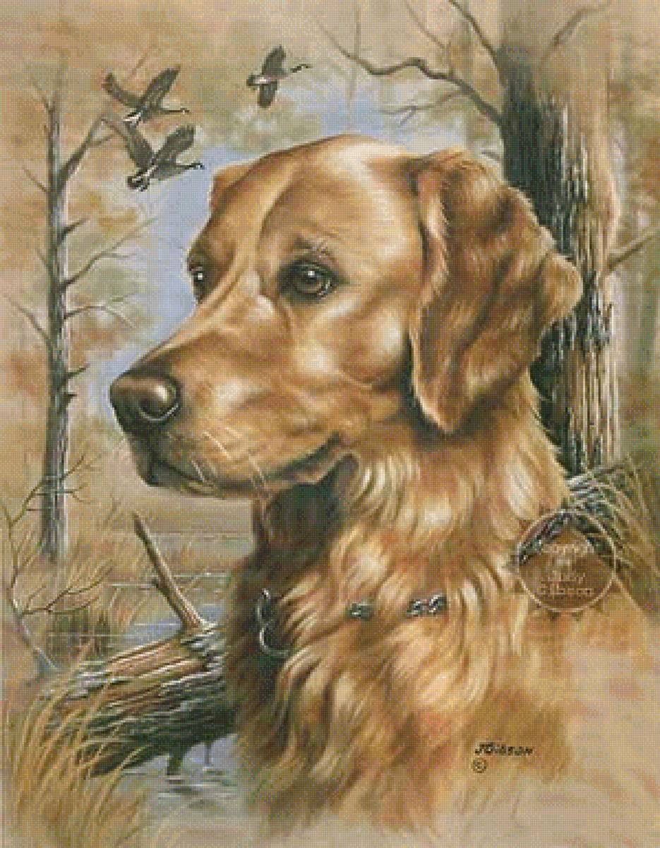 Охотник - предпросмотр