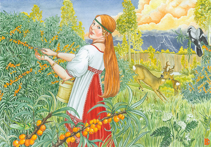 облепиха - оригинал