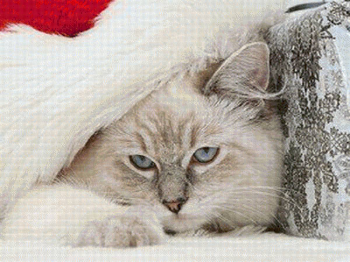 Новый год - котенок - предпросмотр