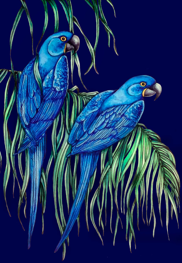 Попугайчики - оригинал