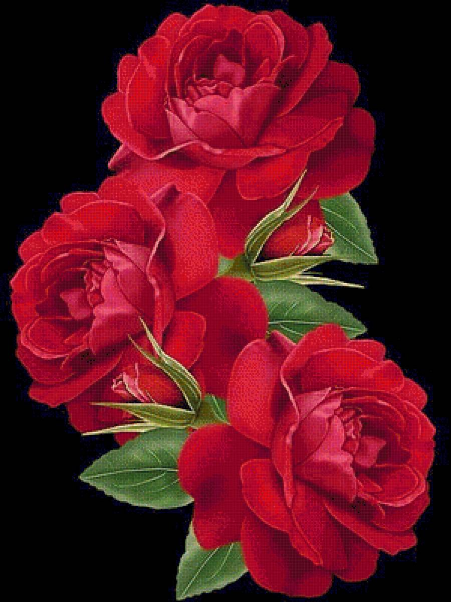 №1616343 - предпросмотр