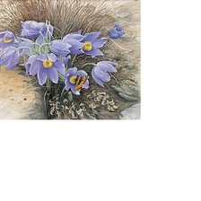 Схема вышивки «№1616497»