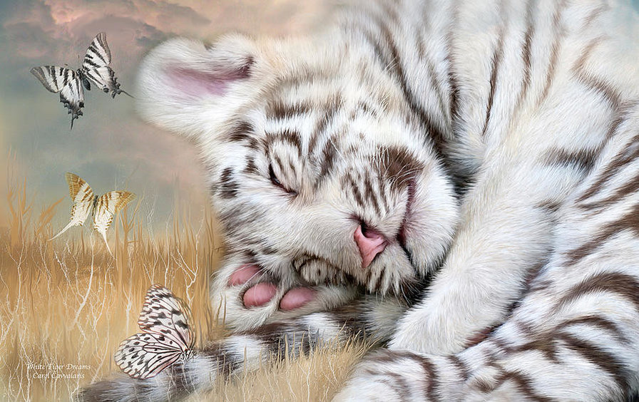 Розовый носик - сон, бабочки, животные, лапа, трава - оригинал